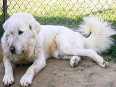 Χαρίζουμε την Ήρα